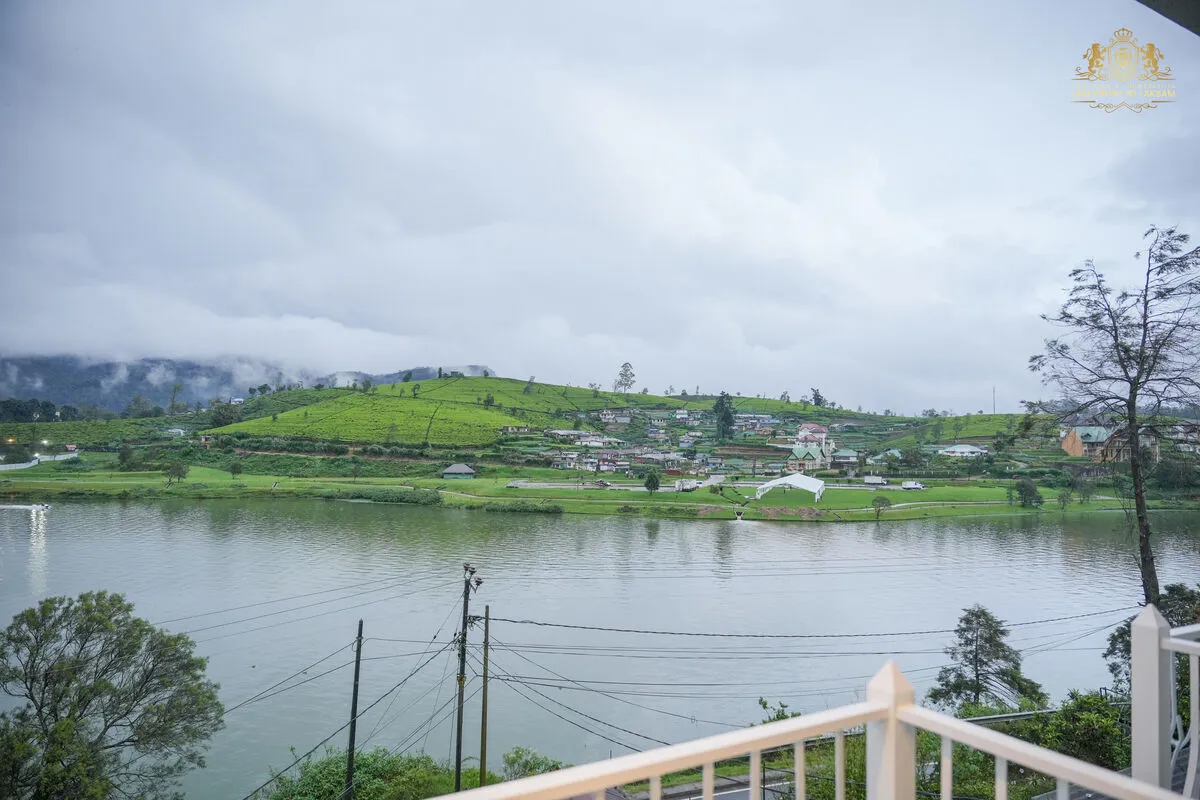 Room 1 - Gallery Image